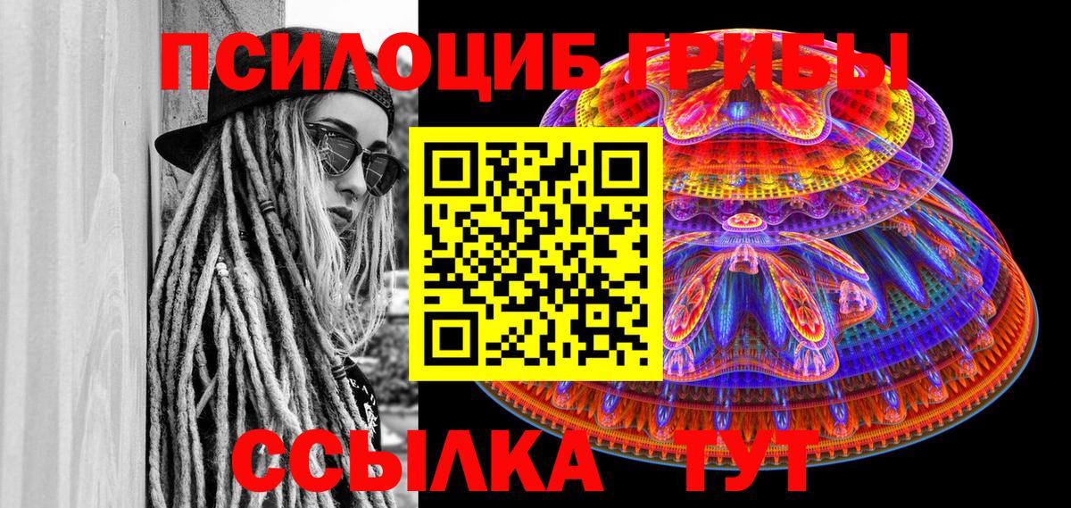 Галлюциногенные грибы Psilocybine cubensis Вологда